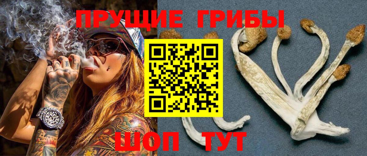 Псилоцибиновые грибы MAGIC MUSHROOMS  Вход с VPN  Краснознаменск 