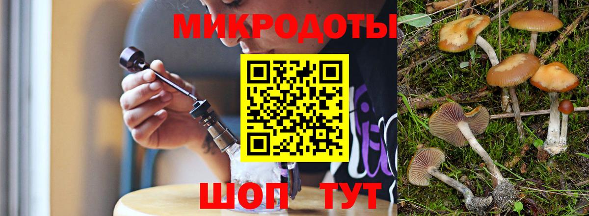 Псилоцибиновые грибы Psilocybine cubensis Краснознаменск